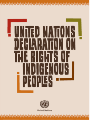 cover image of United Nations Declaration on the Rights of Indigenous Peoples